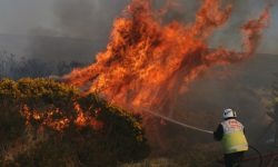 Gorse Fires – What are they and what to know.